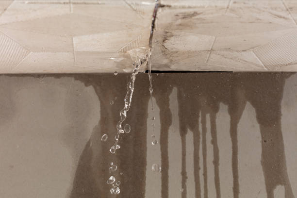 Professional Water Damage Repair technician working in River Edge, NJ